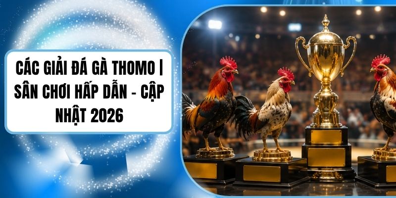Các Giải Đá Gà Thomo | Sân Chơi Hấp Dẫn - Cập Nhật 2026