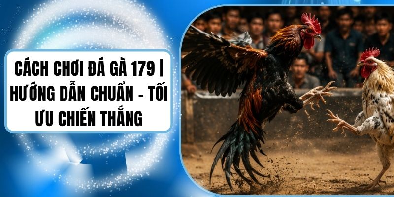 Cách Chơi Đá Gà 179 | Hướng Dẫn Chuẩn - Tối Ưu Chiến Thắng