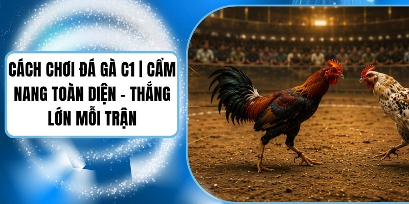 Cách Chơi Đá Gà C1 | Cẩm Nang Toàn Diện - Thắng Lớn Mỗi Trận