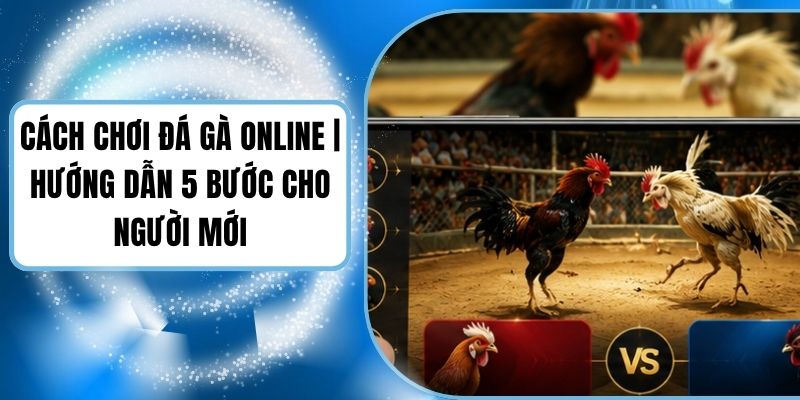 Cách Chơi Đá Gà Online | Hướng Dẫn 5 Bước Cho Người Mới