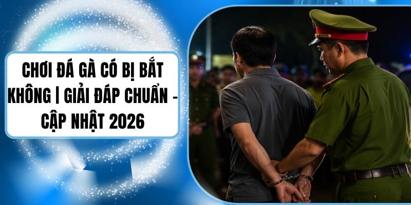 Chơi Đá Gà Có Bị Bắt Không | Giải Đáp Chuẩn - Cập Nhật 2026