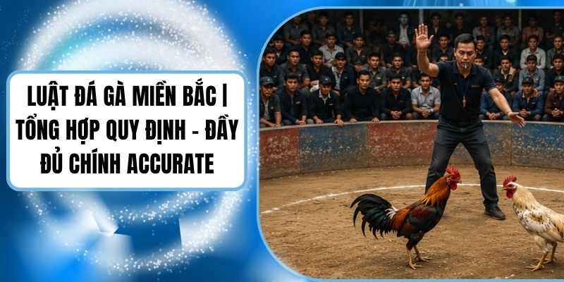 Luật Đá Gà Miền Bắc | Tổng Hợp Quy Định - Đầy Đủ Chính Accurate