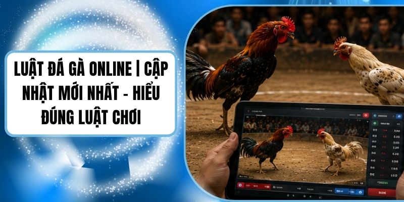 Luật Đá Gà Online | Cập Nhật Mới Nhất - Hiểu Đúng Luật Chơi